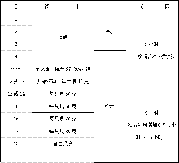 全发国际(中国)有限公司官网