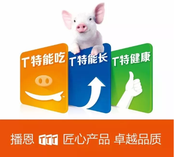 全发国际(中国)有限公司官网