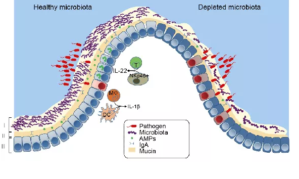 全发国际(中国)有限公司官网
