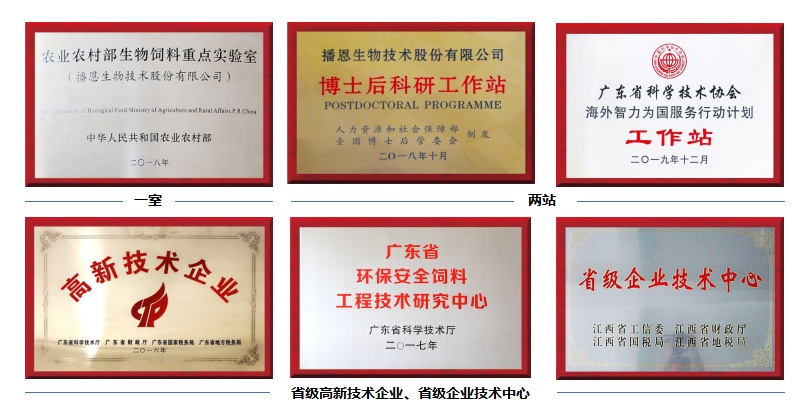 全发国际(中国)有限公司官网