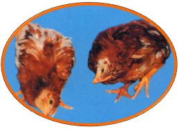 全发国际(中国)有限公司官网