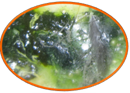 全发国际(中国)有限公司官网