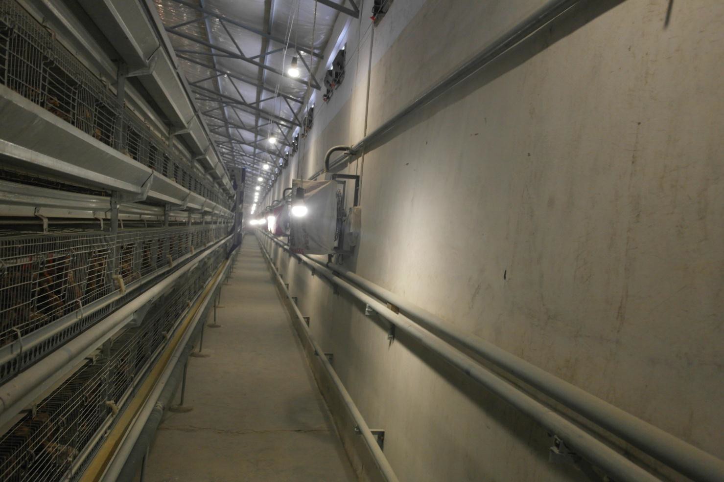 全发国际(中国)有限公司官网