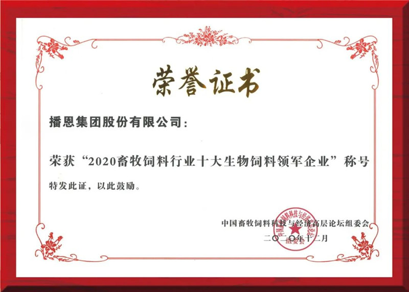 全发国际(中国)有限公司官网