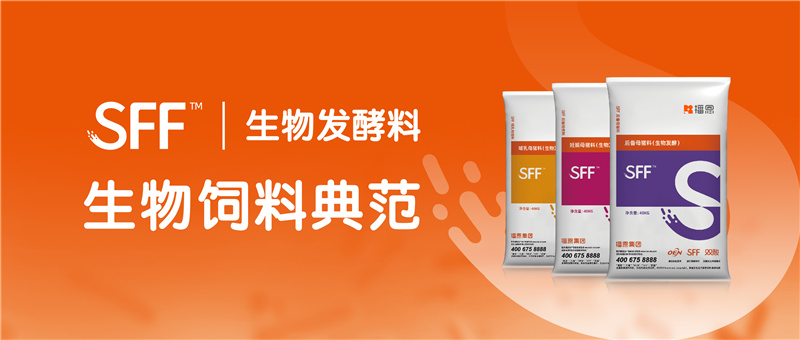 全发国际(中国)有限公司官网