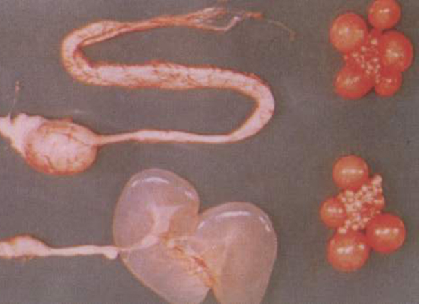 全发国际(中国)有限公司官网