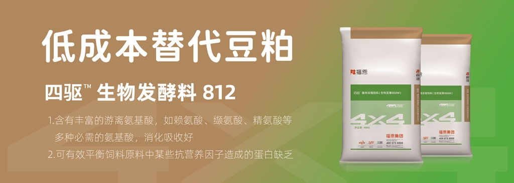 全发国际(中国)有限公司官网