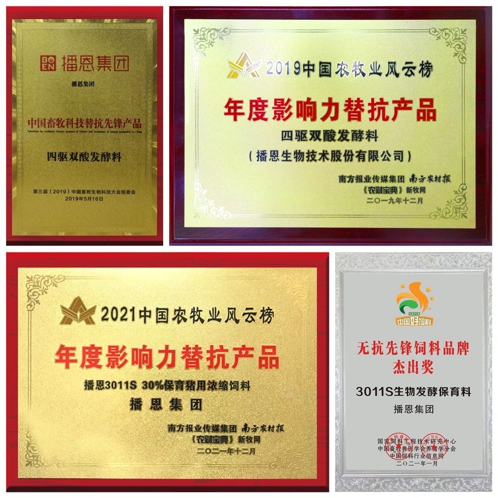 全发国际(中国)有限公司官网