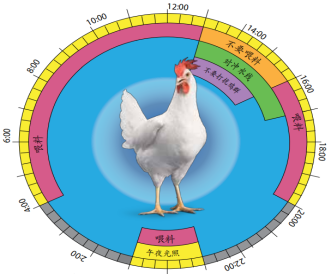 全发国际(中国)有限公司官网
