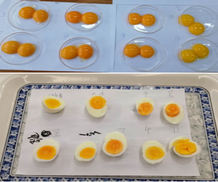 全发国际(中国)有限公司官网