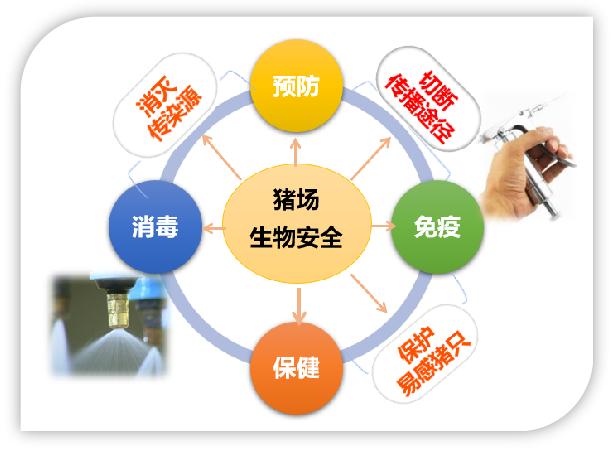 全发国际(中国)有限公司官网