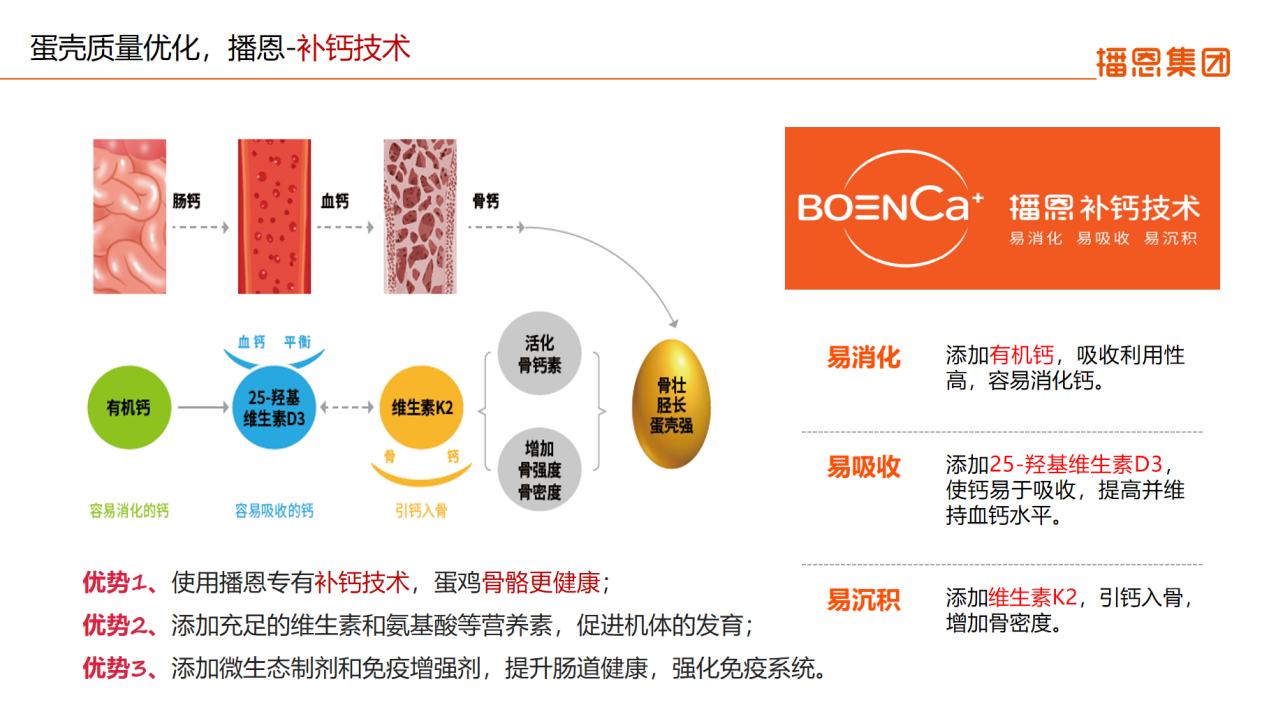 全发国际(中国)有限公司官网