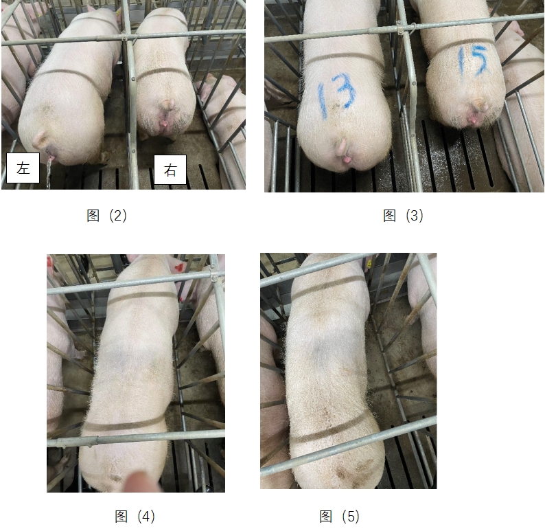 全发国际(中国)有限公司官网
